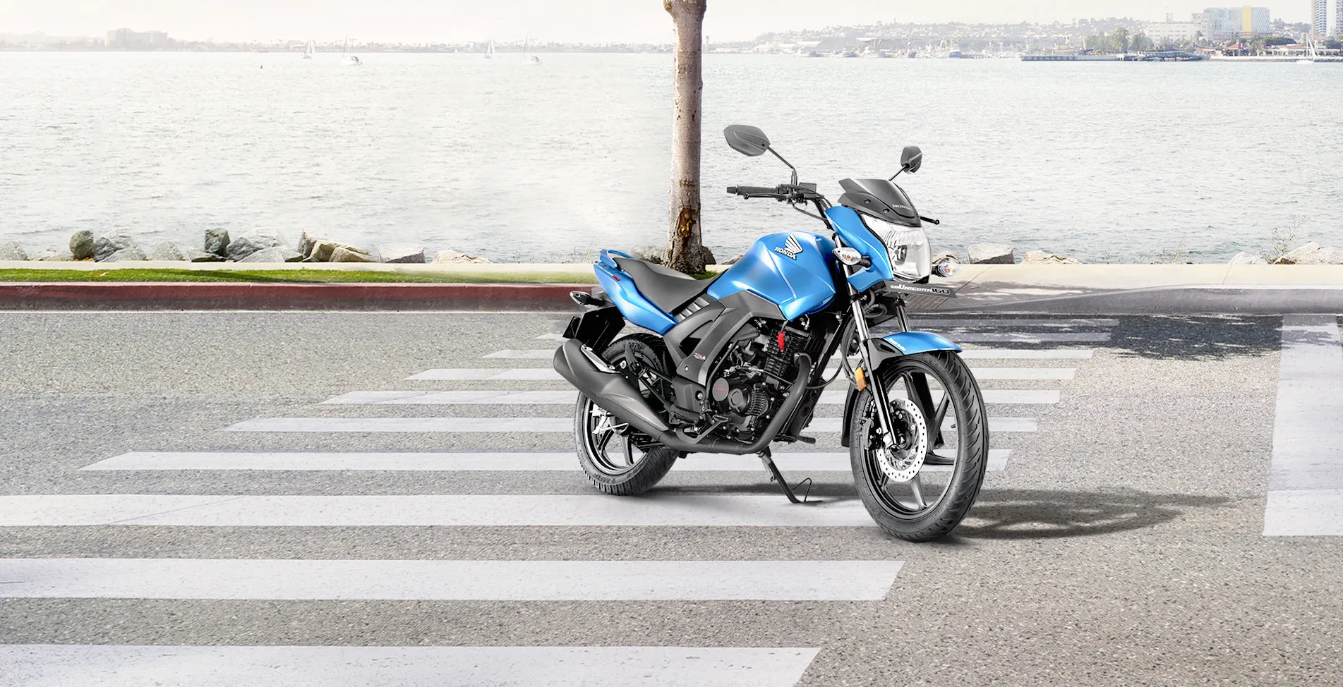motorcycle unicorn